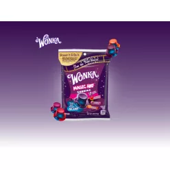 Wonka Magic Hat Gummies 113g